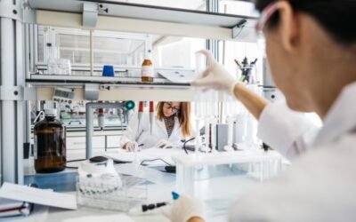 El cambio climático afectará en dos décadas a la seguridad alimentaria mundial. Por AINIA. Centro Tecnológico