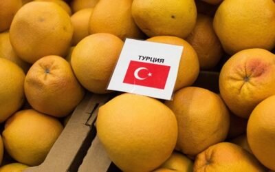 El CGC exige a la UE que frene la ola de importaciones de cítricos turcos con residuos