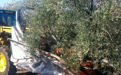 El MAPA destinará 6,5 millones de euros a la renovación de maquinaria agrícola