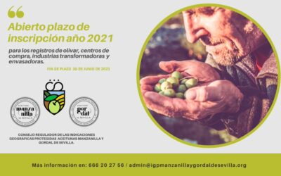 Abierto el plazo de inscripción para los registros de olivar, centros de compra, industrias transformadoras y envasadoras hasta el 30 de junio de 2021.
Más info en el teléfono 666 20 27 56 o en el email: admin@igpmanzanillaygordaldesevilla.org
#sevilladedondevienenlasaceitunas