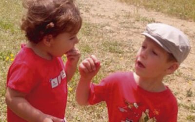 Almazaras de la Subbética y la Fundación Savia acuerdan plantar un árbol por cada nacimiento en la cooperativa