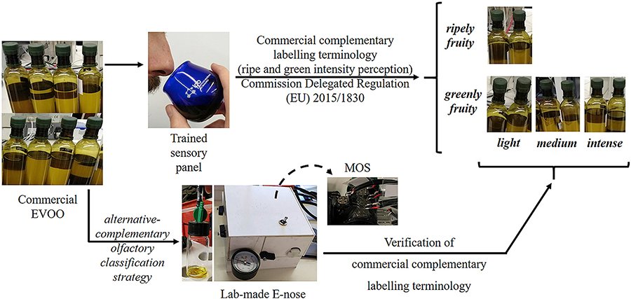 Uso de la nariz electrónica en la clasificación comercial de AOVEs