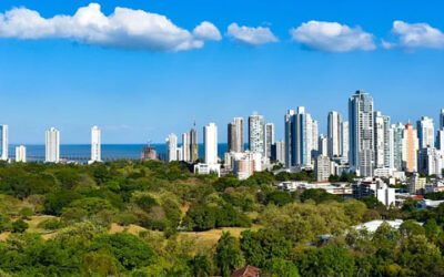 El aceite de oliva, el producto español con mejor reputación en el mercado panameño