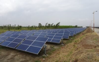 ASAJACyL critica la proliferación de macroparques fotovoltaicos en  tierras de cultivo y pastos de Castilla y León