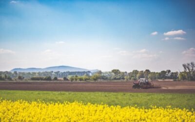 El MAPA presenta a las CC.AA. nueve propuestas de ecoesquemas a aplicar en nuestro país en la PAC 2023-27