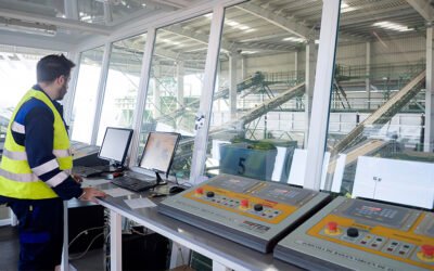 Picualia: crecimiento basado en la comercialización y la internacionalización