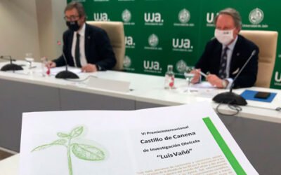 Convocado el VI Premio Internacional Castillo de Canena de Investigación Oleícola «Luis Vañó»