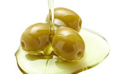 Resultados finales del proyecto OLEUM