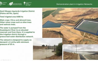 Usos de los sistemas de riego para la producción de energía