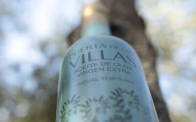 San Vicente de Mogón, primera cooperativa que se inscribe en la IGP Aceite de Jaén