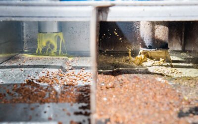 Italia necesita de un plan estratégico para la gestión verde del orujo de aceituna