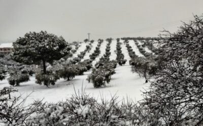 La UE lanza su nueva estrategia de adaptación al cambio climático