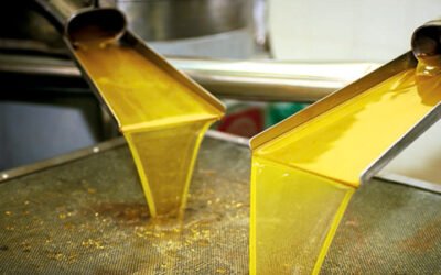 Ley de la Cadena Alimentaria: el avance necesario para un reparto equitativo del valor