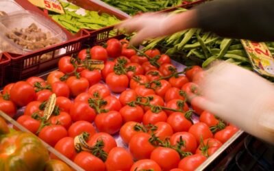 Carrefour incrementa las compras de tomate español y paraliza en Francia las de fresa