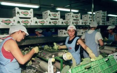 El paro registrado en Agricultura aumentó en cerca de 6.200 personas en febrero