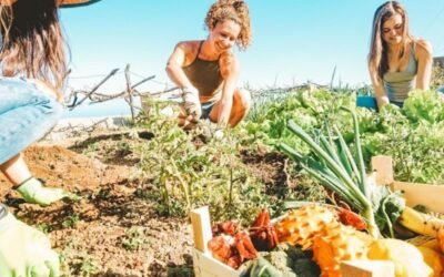 La asociación de mujeres rurales Fademur se une al programa Airbnb Rural