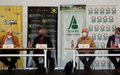 El sector agrario andaluz decide iniciar un periodo indefinido de movilizaciones