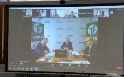 Hortofrutícola: Planas confirma que Reino Unido retrasa la entrada en vigor de los certificados hasta 2022