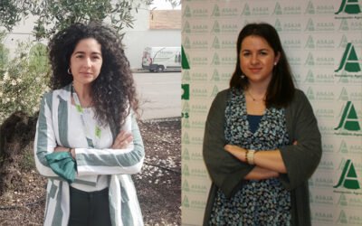 El Olivar en Femenino: la fuerza de compartir