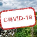 Por ellas, por las que hoy no están, este 8M