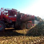 Azucarera no solo se queda parte de la PAC de los remolacheros sino que además pagará un millón de euros menos esta campaña