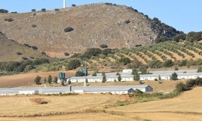 Seis interprofesionales ponen en marcha la «Red municipal ganadero-cárnica»