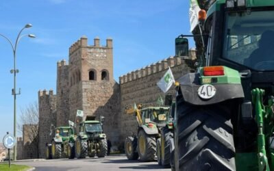 Tractorada en Toledo para reclamar un plan para el olivar afectado por Filomena