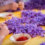La DOP Azafrán de La Mancha encarga a la UCLM un estudio histórico sobre este cultivo en la región