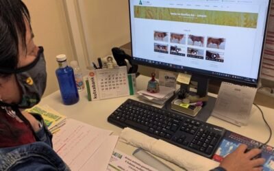 Lorra S. Coop. crea una plataforma de subasta online de ganado