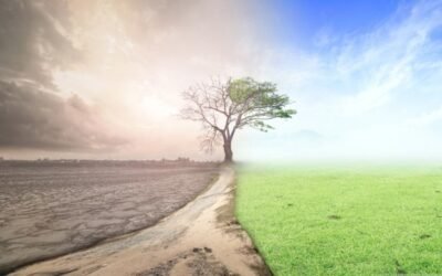 El PE pide tasar algunas importaciones, como los fertilizantes, para avanzar en los objetivos climáticos