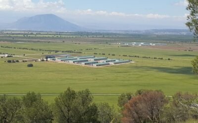 Cefusa promueve grupos de mejora para reducir el consumo de agua en sus granjas