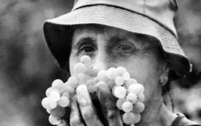 Basf Agro lanza la segunda edición del concurso de fotografía #YoSoyAgricultor