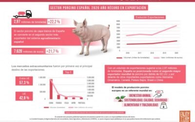 El sector porcino español bate récord histórico de exportaciones en 2020