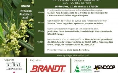 Vida Rural celebra mañana un webinar sobre estrategias para el manejo del cultivo del olivar
