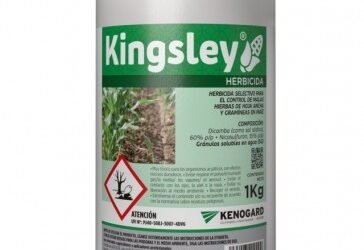 Kinsgley, el nuevo herbicida para maíz de Kenogard