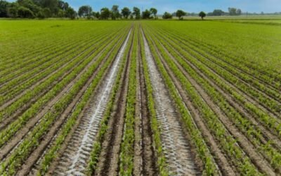 Lemken lanza un configurador de tramlines en línea para su sembradora Azurit 9