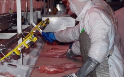 MEAT2030, apoyo técnico a las necesidades de sostenibilidad de la industria cárnica