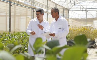 Basf invirtió 840 millones de euros en I+D de Soluciones Agrícolas en 2020