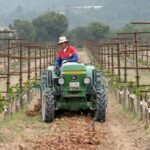 PAC: Europa estudia si la definición de agricultor genuino debe ser obligatoria o no y Planas asegura que en España se aplicará sí o sí