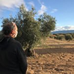 Debate de la PAC: Castilla-La Mancha reclama “una auténtica revolución en el pago redistributivo y hacerlo de manera decidida”