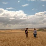 Nueva PAC viejos retrasos: Protesta por el impago de hasta 331 millones del adelanto aprobado para esta campaña