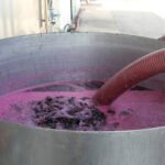 Denuncian la ilegalidad que supone pagar los graneles de vino DOCa Rioja por debajo de los costes de producción