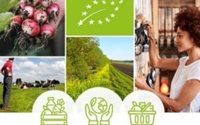 Bruselas presenta su Plan de Acción para desarrollar la producción ecológica en la UE de aquí hasta 2030