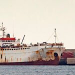 Orden clara para confirmar el sacrificio de las reses del barco de Cartagena mientras llega otro más con 1.800 terneros