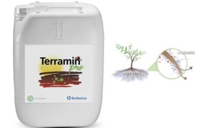 Terramin Pro, la solución de Bioibérica Plant Health para potenciar la salud del suelo
