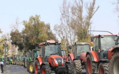 Más de 300 tractores de arroceros reclaman en Valencia medidas de apoyo al sector