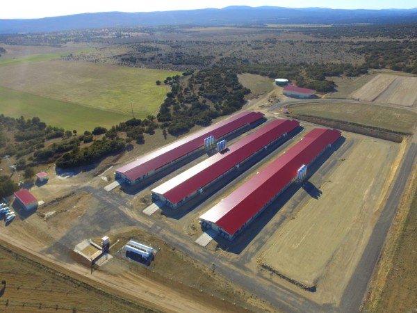 El Grupo Uvesa amplia su red de explotaciones integradas