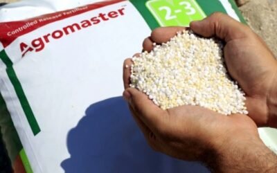 Consigue una óptima nutrición y un crecimiento uniforme de los frutales con Agromaster de ICL