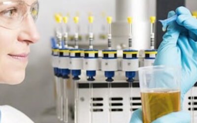 Un test rápido para detectar la calidad y autenticidad del aceite de oliva