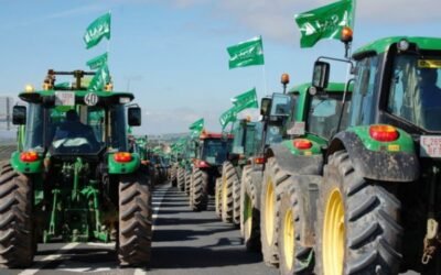 Protestas a la vista: en Andalucía por la PAC y en Castilla y León por la excesiva protección del lobo